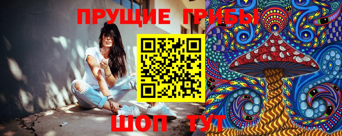 Псилоцибиновые грибы прущие грибы Алейск