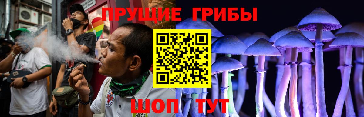Псилоцибиновые грибы прущие грибы  Вход с VPN  Алейск 